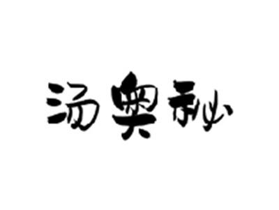 汤奥秘