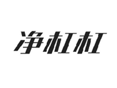 净杠杠