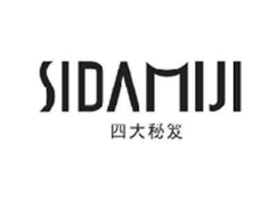 四大秘笈SIDAMIJI