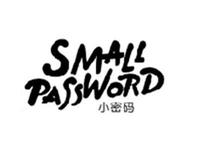 小密码SMALL PASSWORD