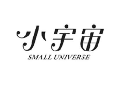 小宇宙SMALL UNIVERSE