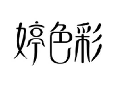婷色彩