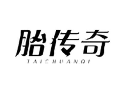 胎传奇TAICHUANQI