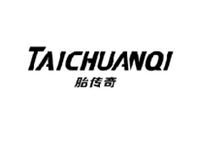 胎传奇TAICHUANQI