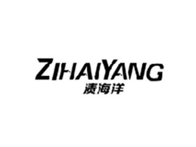 渍海洋ZIHAIYANG