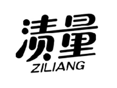 渍量ZILIANG