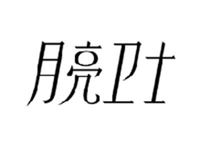 月亮卫士