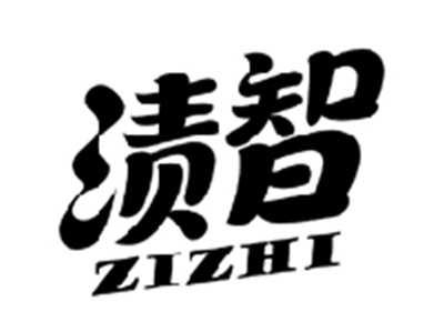 渍智ZIZHI