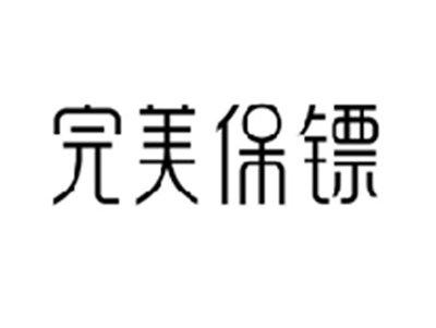 完美保镖