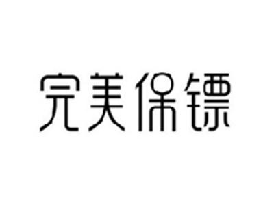 完美保镖