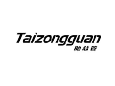 胎总管TAIZONGGUAN