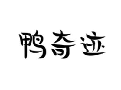 鸭奇迹