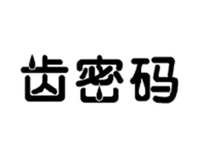 齿密码