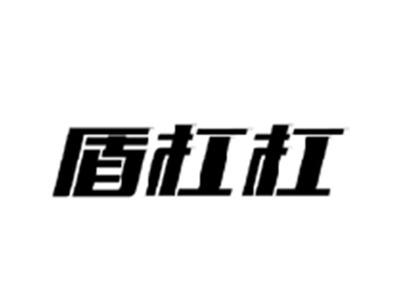 盾杠杠