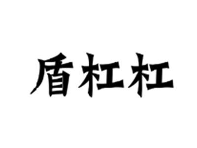 盾杠杠