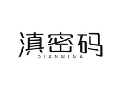 滇密码DIANMIMA