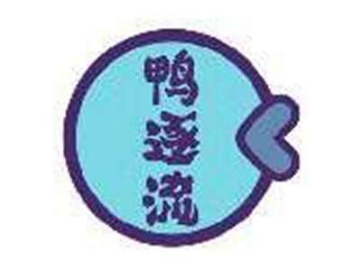 鸭逐流