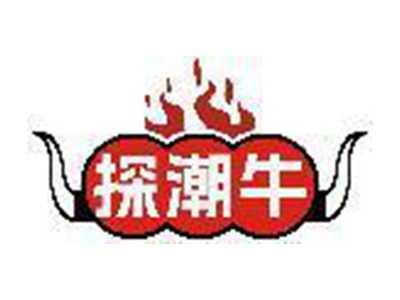 探潮牛