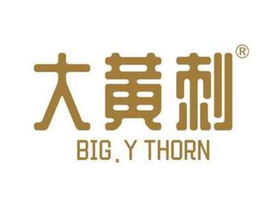 大黄刺 BIG.Y THORN