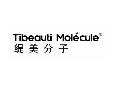 缇美分子