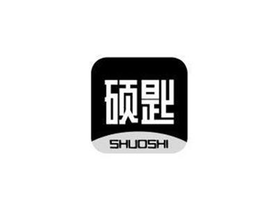 硕匙SHUOSHI+图形