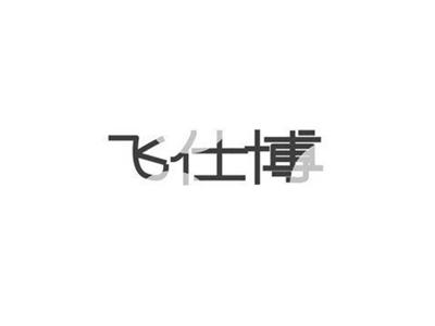 飞仕博