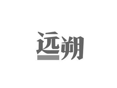 远朔+图形
