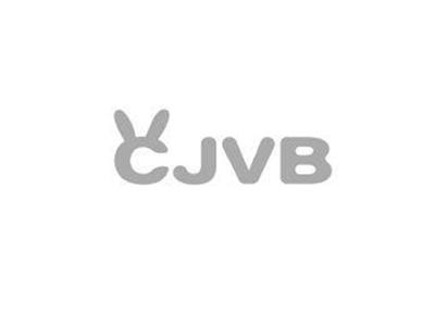 CJVB+图形