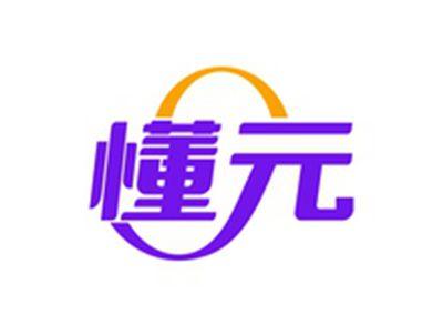 懂元