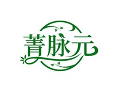 菁脉元