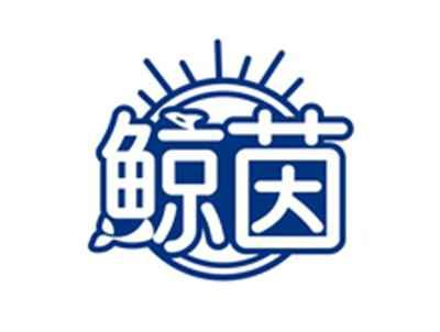 鲸茵