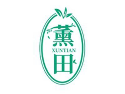 薰田XUNTIAN