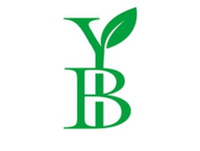 YB