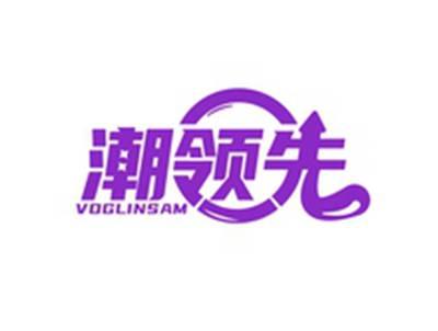潮领先VOGLINSAM