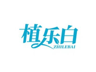 植乐白ZHILEBAI