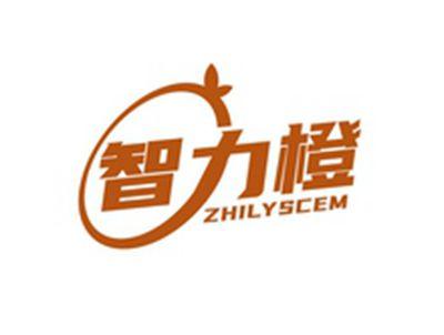 智力橙ZHILYSCEM