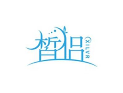 皙侣XILVR