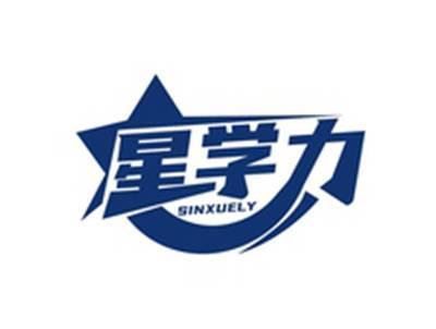 星学力SINXUELY