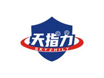 天指力SKYZHILY