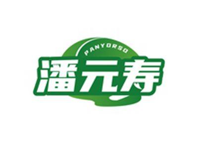 潘元寿PANYORSO