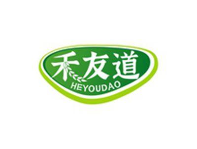 禾友道HEYOUDAO