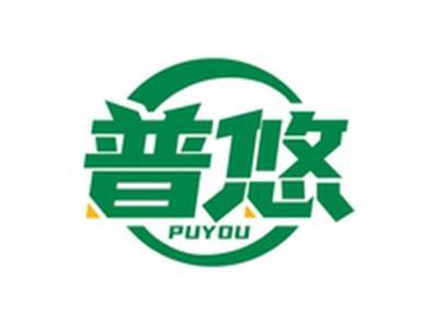 普悠PUYOU