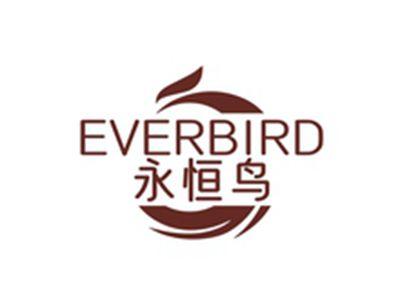 永恒鸟EVERBIRD
