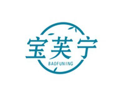 宝芙宁BAOFUNING