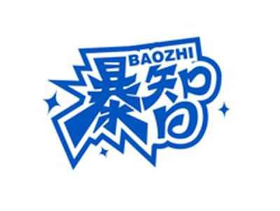 暴智BAOZHI
