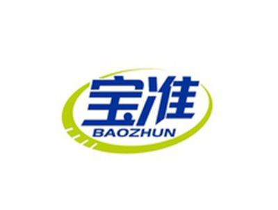 宝准BAOZHUN