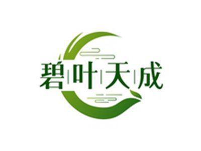 碧叶天成