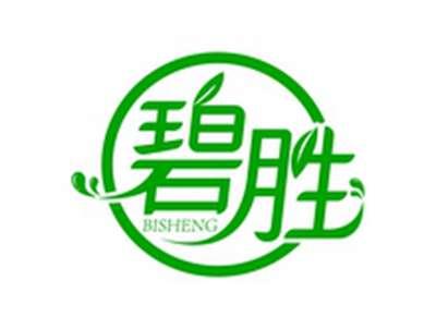 碧胜BISHENG