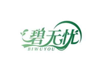 碧无忧BIWUYOU