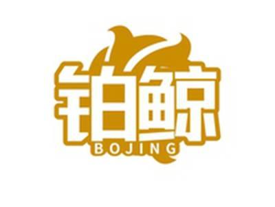 铂鲸BOJING